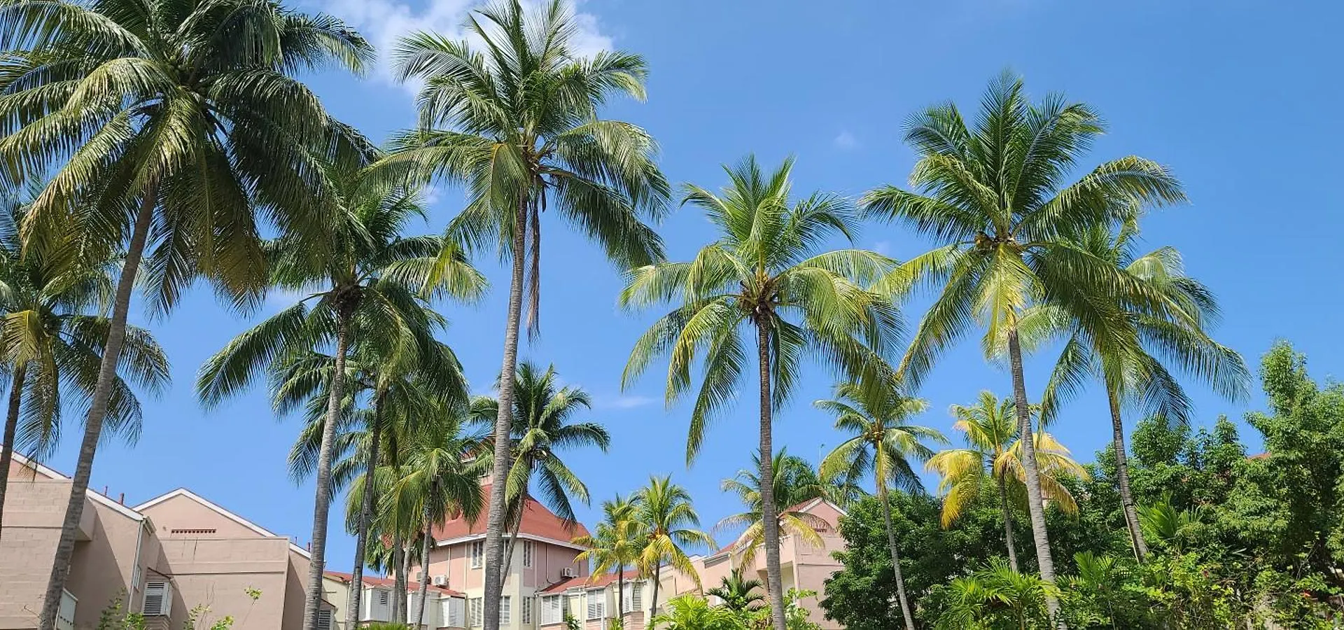 Fisherman'S Point Accommodations Ocho Rios Jamaica
